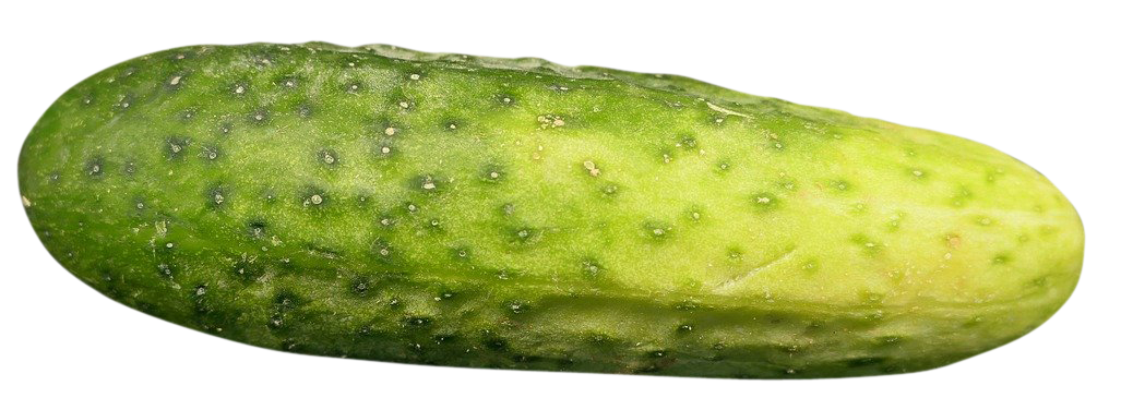 Cucumber, Cucumber png, Cucumber png image, Cucumber transparent png image, Cucumber png full hd images download
